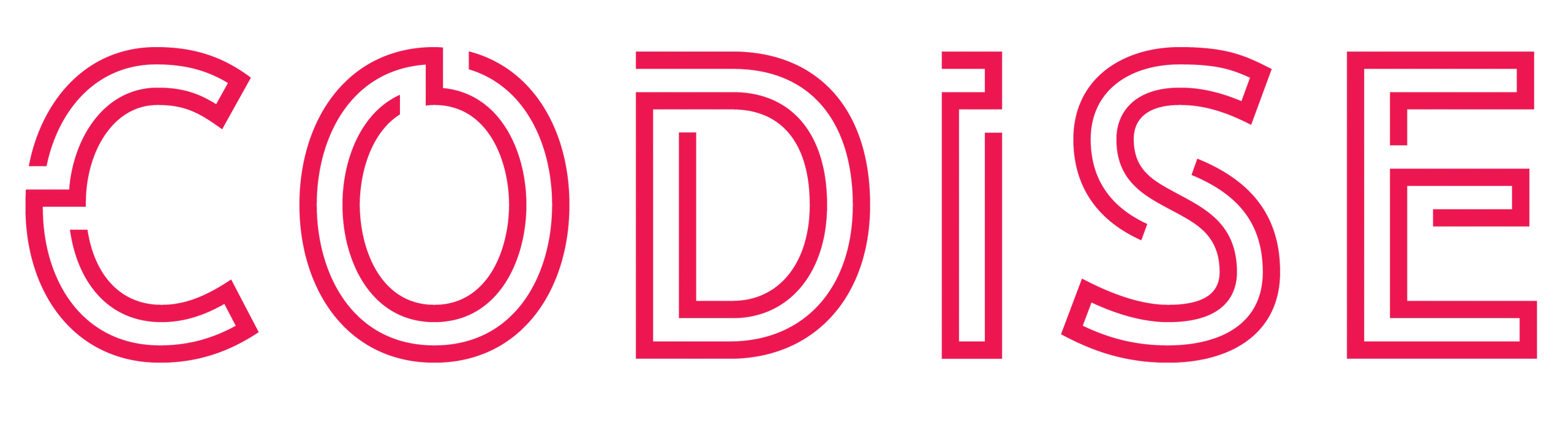 Codise | IT Security & Service Provider